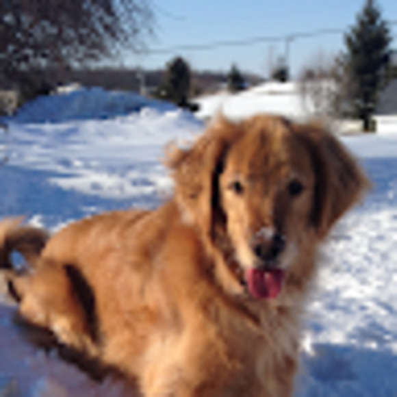 Meet your Posher, Alex - Picture 1 of 1